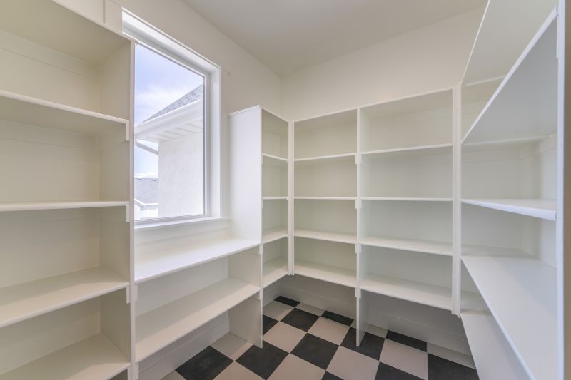 Modern Pantry Designs